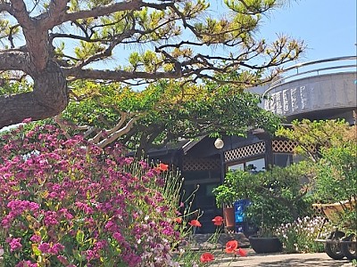사진첩